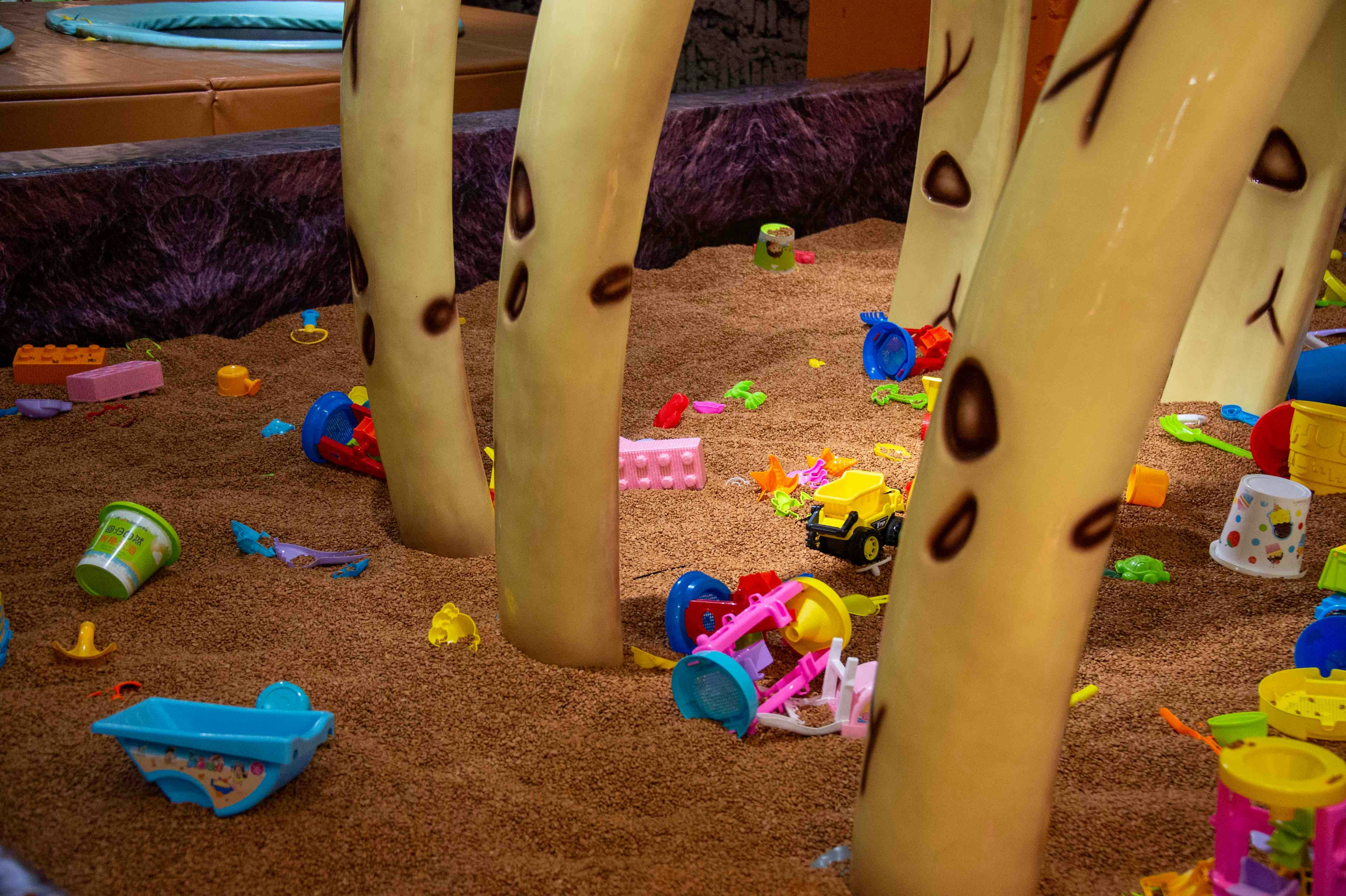 Play area for dogs